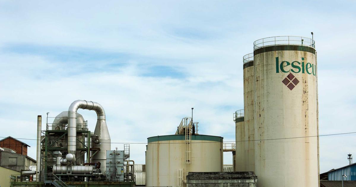 2026년 자영업자 고용보험 가입 방법과 혜택 총정리 — 폐업 시 실업급여 최대 200만원 받는 법