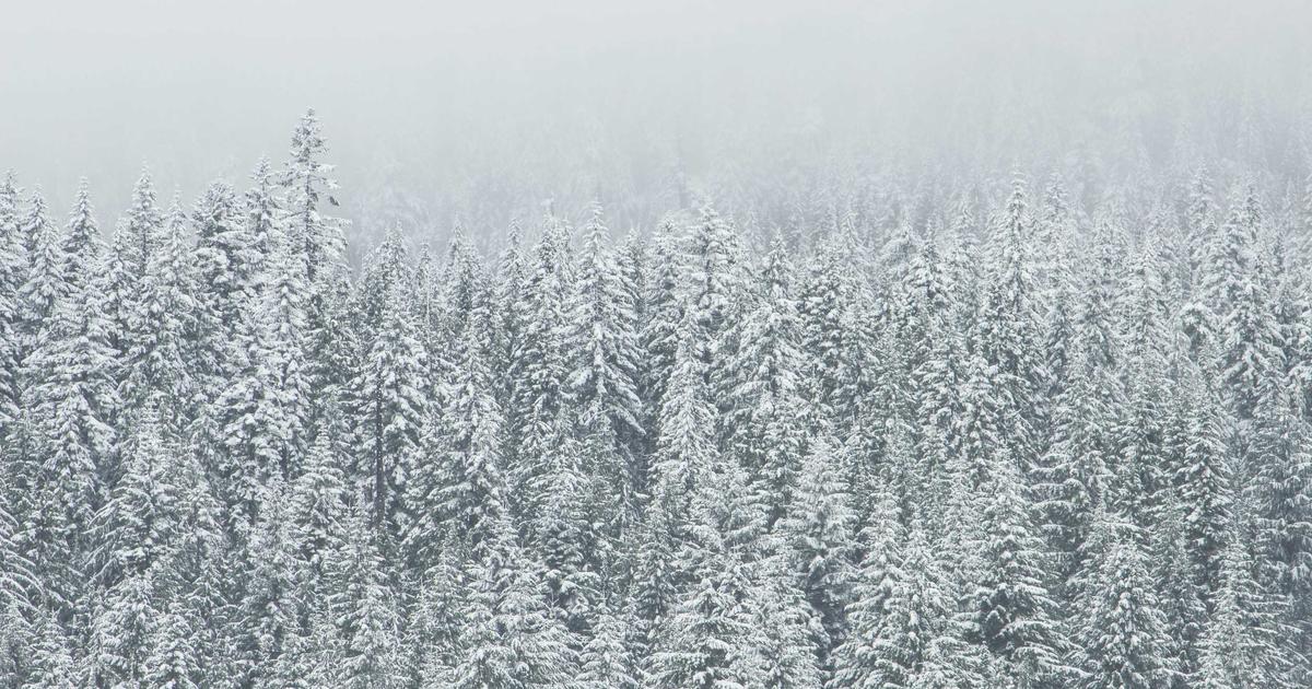 2026년 기초생활수급자 선정기준 총정리 | 기준 중위소득 6.51% 역대 최대 인상, 21만명 새로 혜택받는다