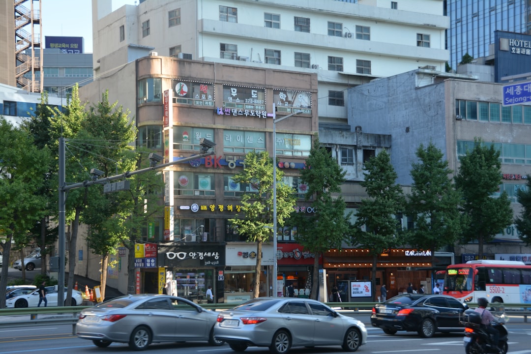 민생지원금 2차 신청 2026, 4월에 꼭 확인해야 할 지역별 지급 차이와 신청 실수