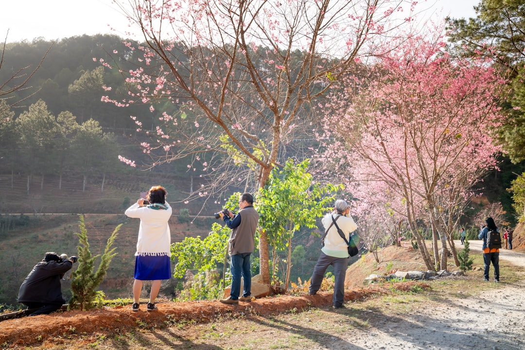 노인맞춤돌봄서비스 신청 자격